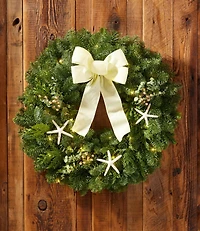 Coastal Evergreen Wreath, Lighted, 24"