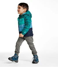 Toddlers' Ultralight 650 Down Jacket, Colorblock