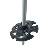 Rossignol BC 100 Backcountry Ski Poles