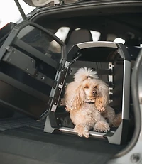 Thule Allax Dog Crate
