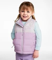 Toddlers' Bean's Down Vest, Colorblock