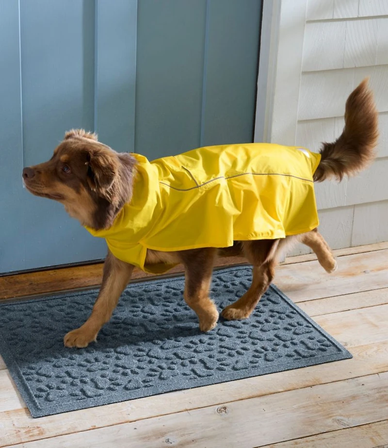 Discovery Dog Rain Jacket