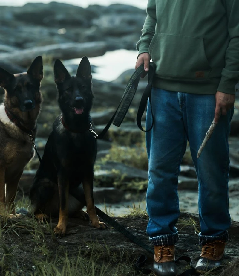 L.L.Bean & Noah Kahan Novelty Dog Leash