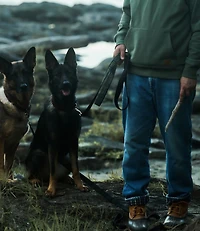 L.L.Bean & Noah Kahan Novelty Dog Leash