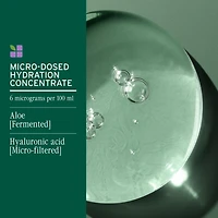 BIOLAGE Hydra Source Shampoo for Dry Hair