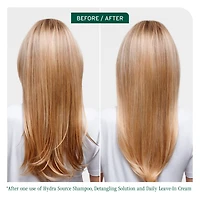 BIOLAGE Hydra Source Detangling Solution for Dry Hair