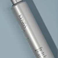 KENRA Platinum Working Spray 14