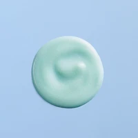 NIOXIN Purifying Exfoliator