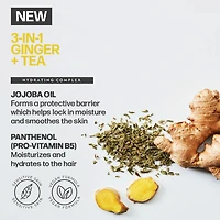 AMERICAN CREW 3-In-1 Ginger + Tea