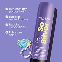 MATRIX So Silver Holiday Duo