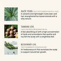 INNERSENSE Sweet Spirit Leave In Conditioner