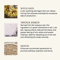 INNERSENSE Refresh Dry Shampoo