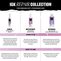 IGK Best Interest Deep Repair Air Dry Styler