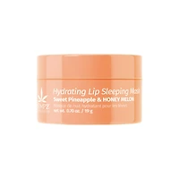 HEMPZ Sweet Pineapple & Honey Melon Hydrating Lip Sleeping Mask