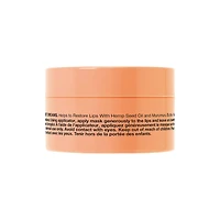 HEMPZ Sweet Pineapple & Honey Melon Hydrating Lip Sleeping Mask