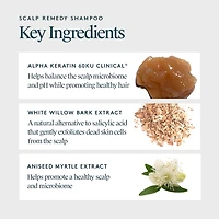 VIRTUE Scalp Remedy Shampoo