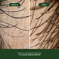 VERB Density Peptide Shampoo for Thinning Hair