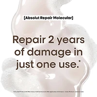 L'OREAL PROFESSIONNEL Absolut Repair Molecular Spring Kit