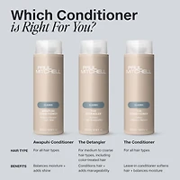 PAUL MITCHELL The Detangler