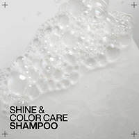 REDKEN Acidic Color Gloss Sulfate-Free Shampoo