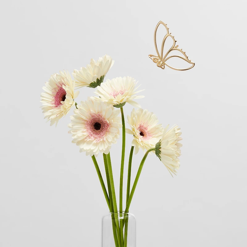 THE HAIR EDIT Gilded Wing Butterfly Claw Clip