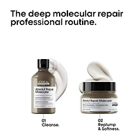 L'OREAL PROFESSIONNEL Absolut Repair Molecular Spring Kit