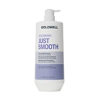 GOLDWELL Dualsenses Just Smooth Taming Shampoo