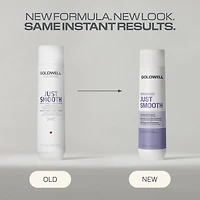 GOLDWELL Dualsenses Just Smooth Taming Shampoo