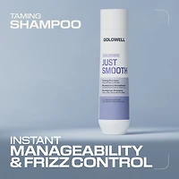 GOLDWELL Dualsenses Just Smooth Taming Shampoo