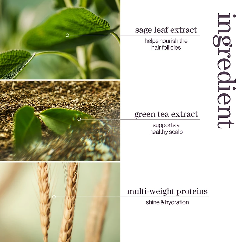 PUREOLOGY Hydrate Shampoo for Medium to Thick Hair