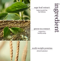 PUREOLOGY Hydrate Shampoo for Medium to Thick Hair