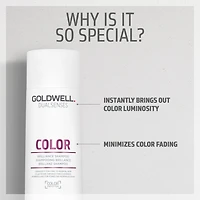 GOLDWELL Dualsenses Color Brilliance Shampoo