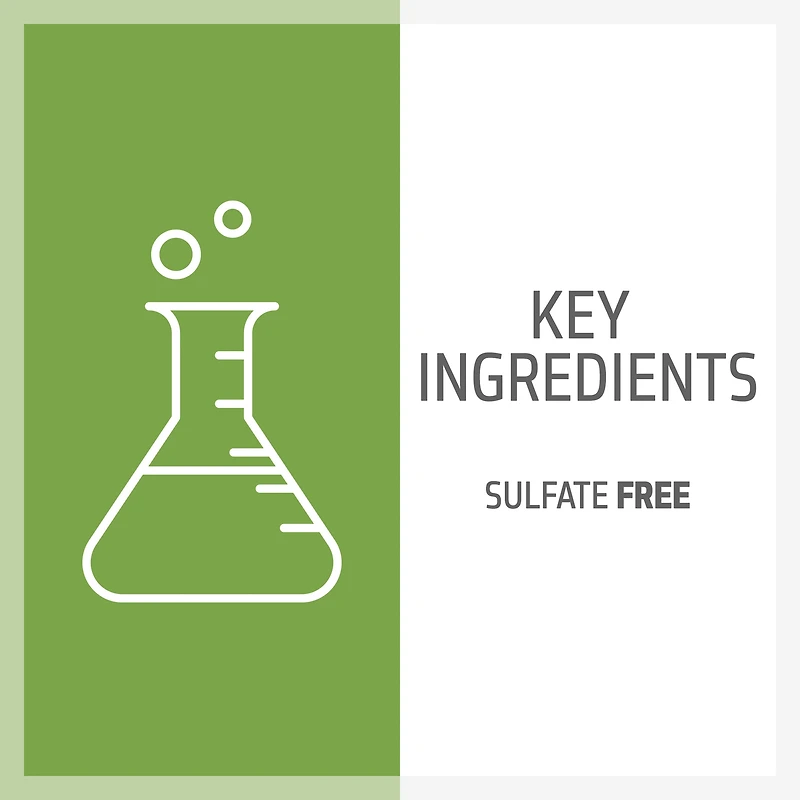 GOLDWELL Dualsenses Blonde & Highlights Anti Yellow Conditioner