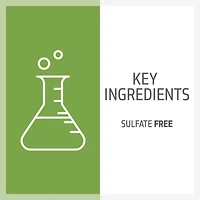 GOLDWELL Dualsenses Blonde & Highlights Anti Yellow Conditioner