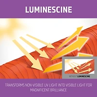 GOLDWELL Dualsenses Blonde & Highlights Anti Yellow Conditioner