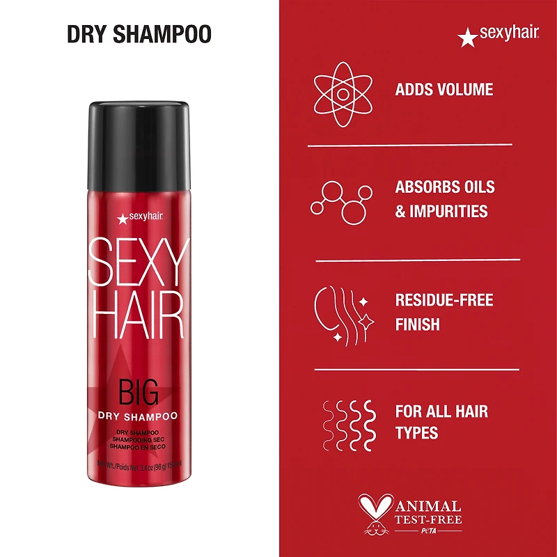 SEXY HAIR Big Dry Shampoo