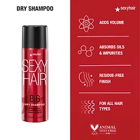 SEXY HAIR Big Dry Shampoo