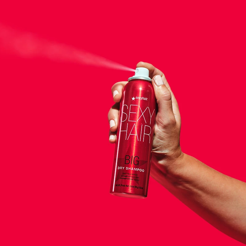 SEXY HAIR Big Dry Shampoo