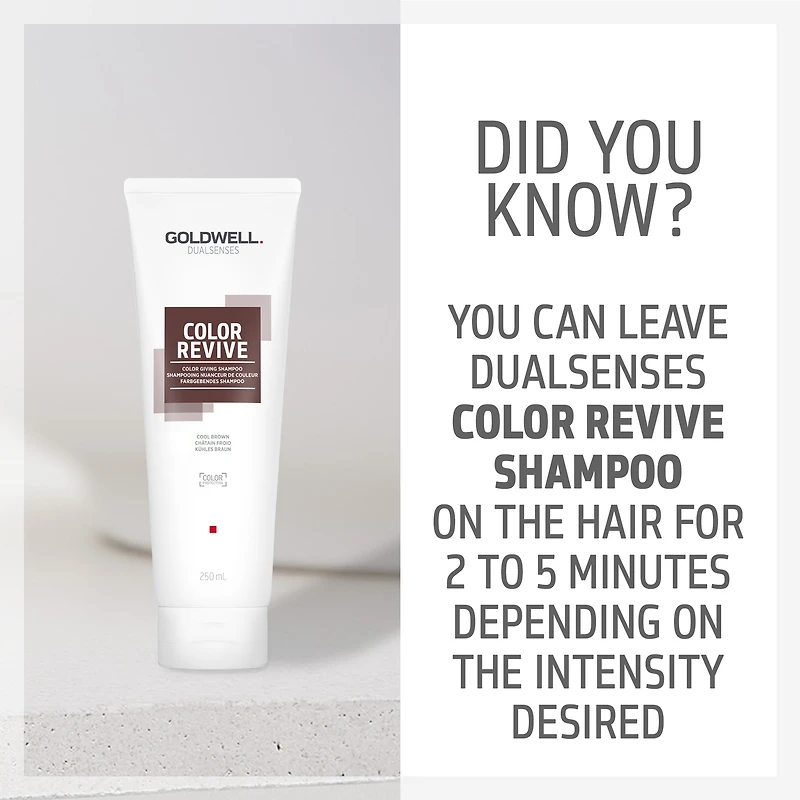 GOLDWELL Dualsenses Color Revive Cool Brown Shampoo