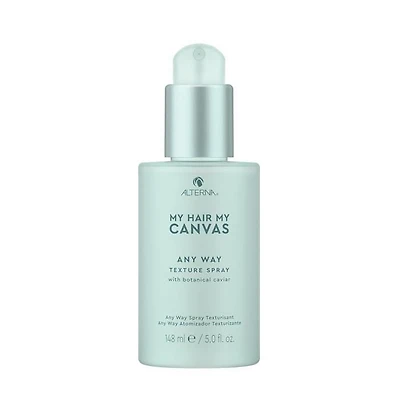 CLEARANCE ALTERNA My Hair My Canvas Any Way Texture Spray