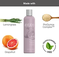 CLEARANCE ABBA Volume Shampoo
