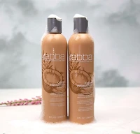 CLEARANCE ABBA Color Protection Conditioner