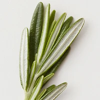 AG CARE Renew Clarifying Shampoo