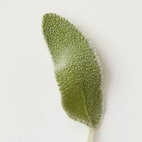 AG CARE Molding Cream Sculpt and Style