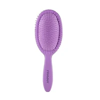 CLEARANCE FRAMAR Detangle Brush