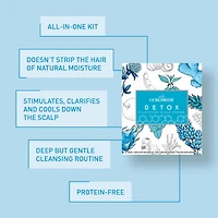 CURLSMITH Kit: Detox