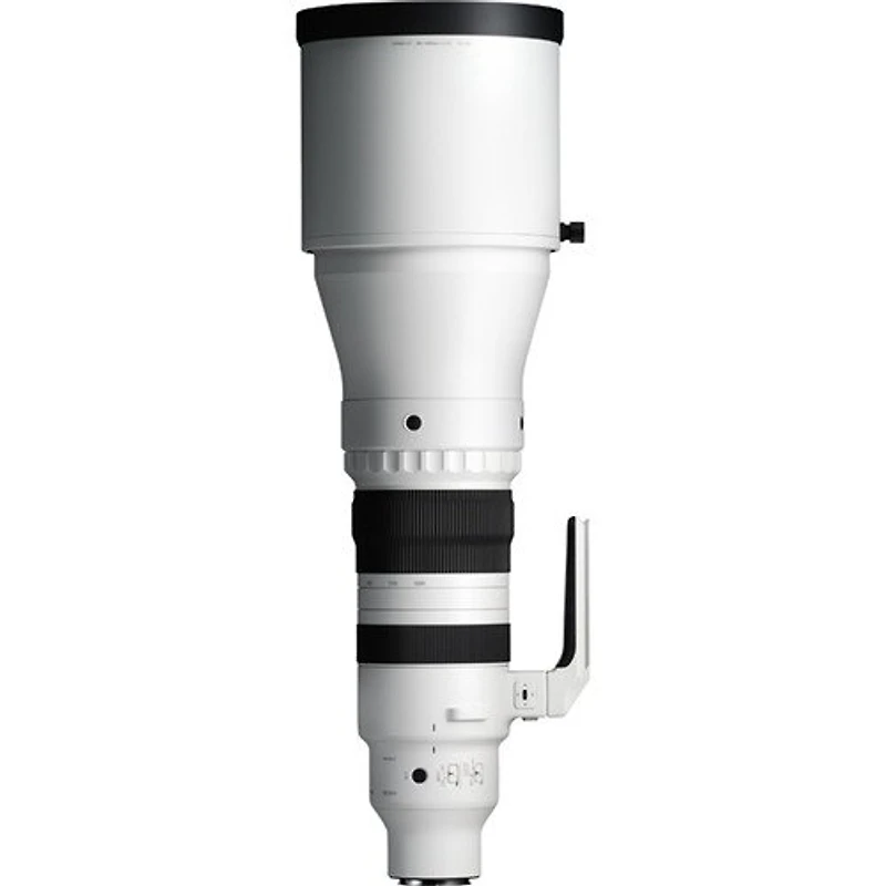Sigma 300-600mm f4 DG OS Sports - Sony E