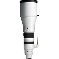 Sigma 300-600mm f4 DG OS Sports - Sony E