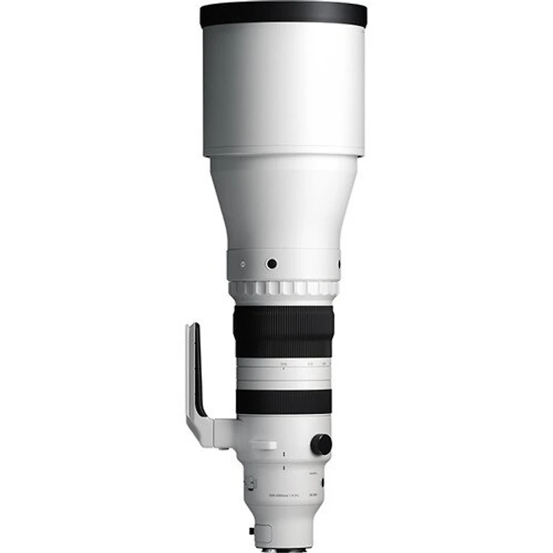 Sigma 300-600mm f4 DG OS Sports - Sony E