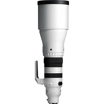 Sigma 300-600mm f4 DG OS Sports - Sony E